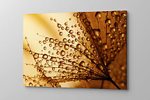 Obraz Za rána za rosy 1454